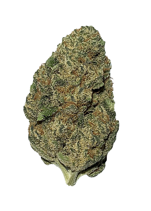 San Fernando Valley Cookies