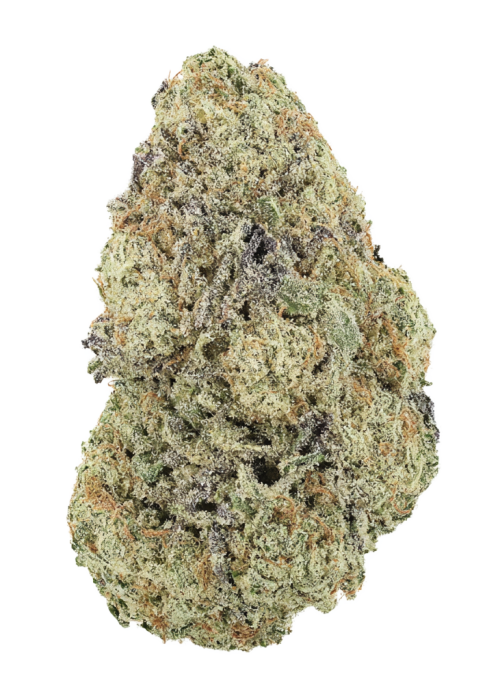 Grape Lobster