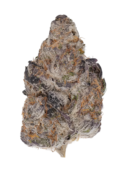 Guava 2.0