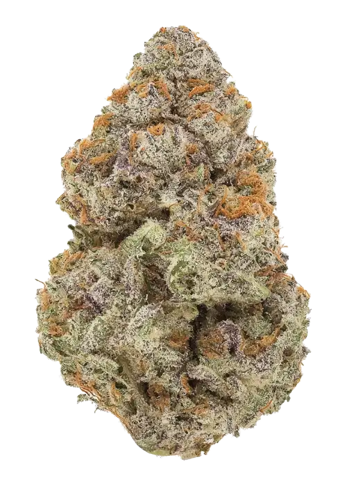 Electric Blue by Connected Cannabis Co