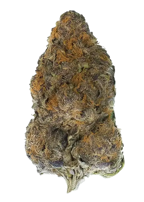 Big Perm by LA Family Farms