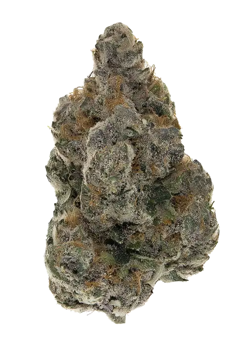 Georgios