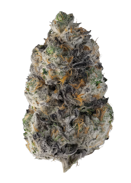 Peels by The Heights Co