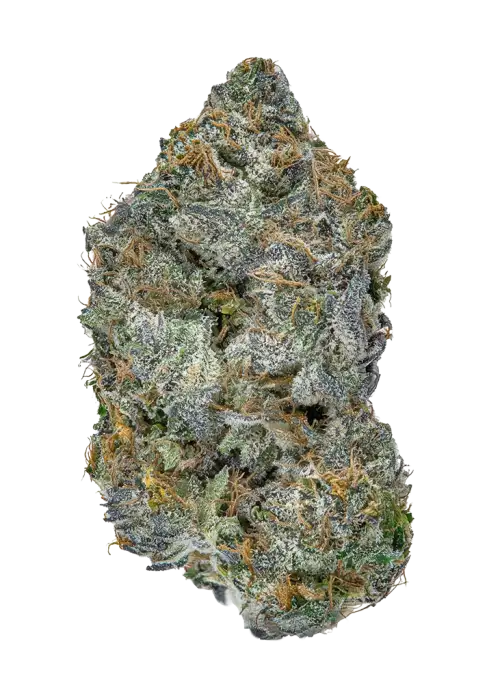 Guava Gas by CannaChamp