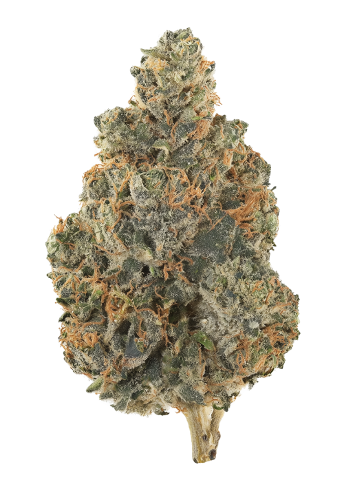 Citrus Pulp