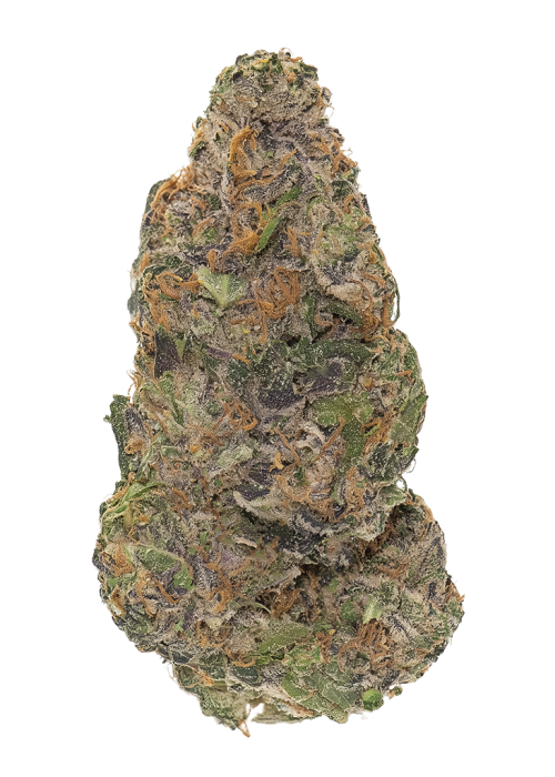 Baja