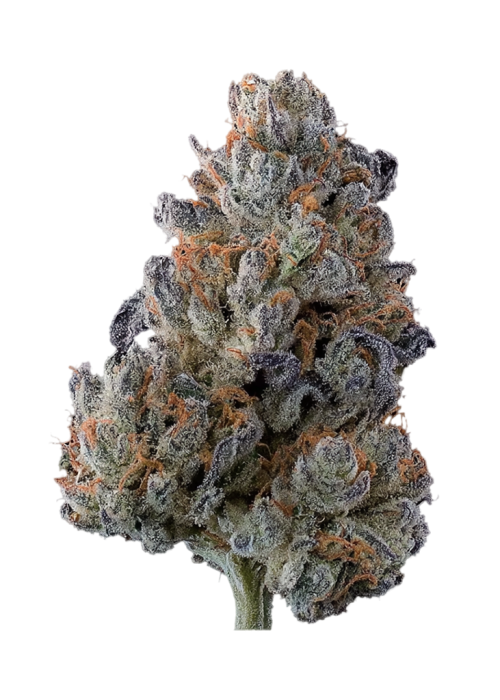 Grape RTZ by Tahoe_Nugz