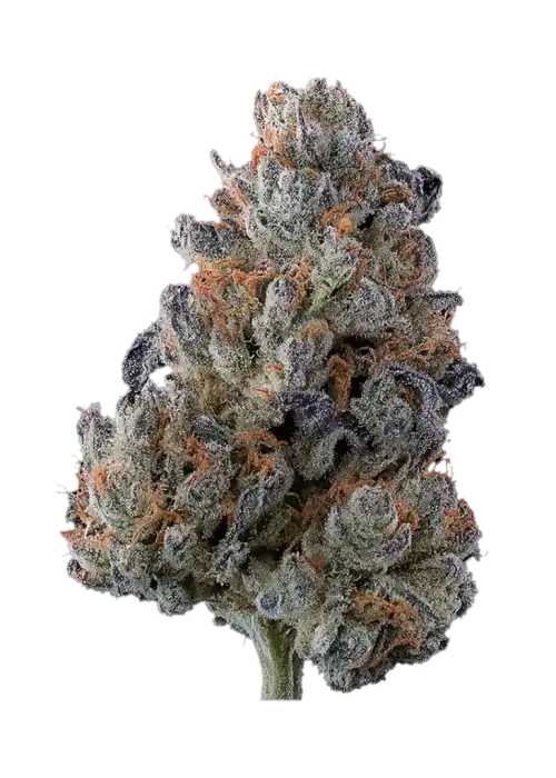 Grape RTZ by Tahoe_Nugz