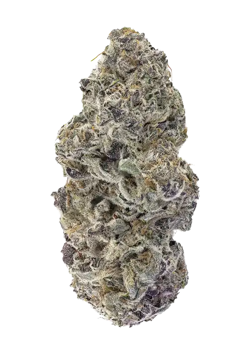 Supreme Lemon OG