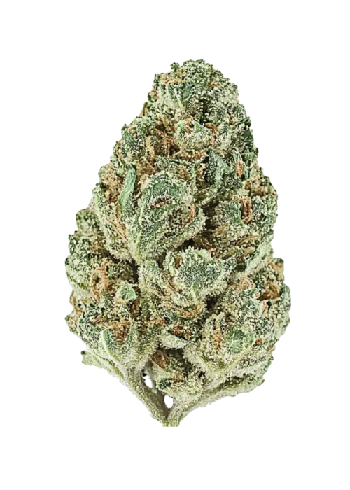 Ricky Bobby OG