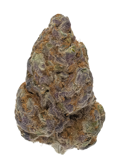 Tear Gas by LA Family Farms