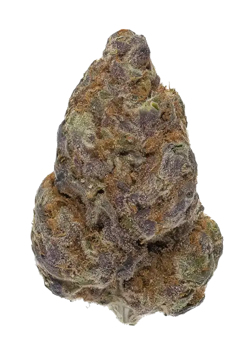 Tear Gas by LA Family Farms