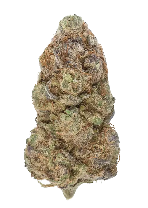 Brain Stew by LA Family Farms