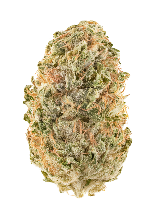 Banana Taffy by Dying Breed Seeds