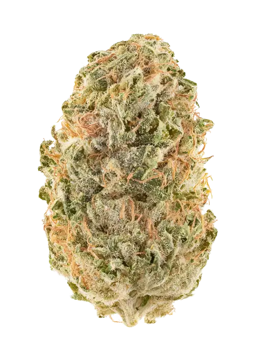 Banana Taffy by Dying Breed Seeds