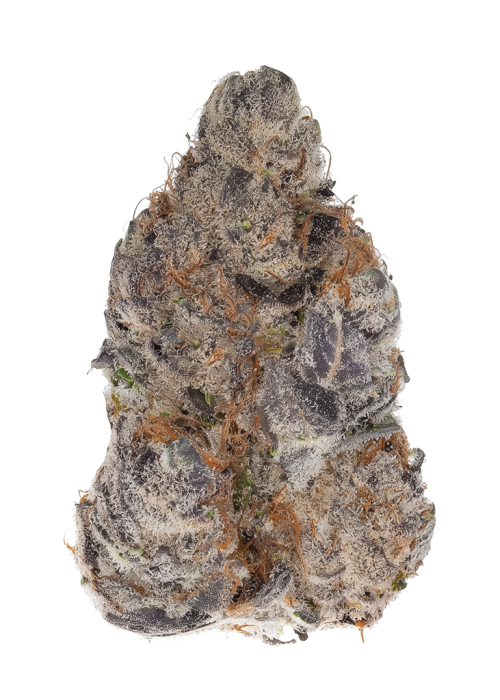 Lime Zoda