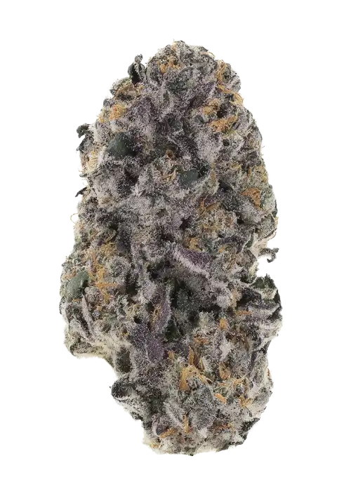 Blue Zang