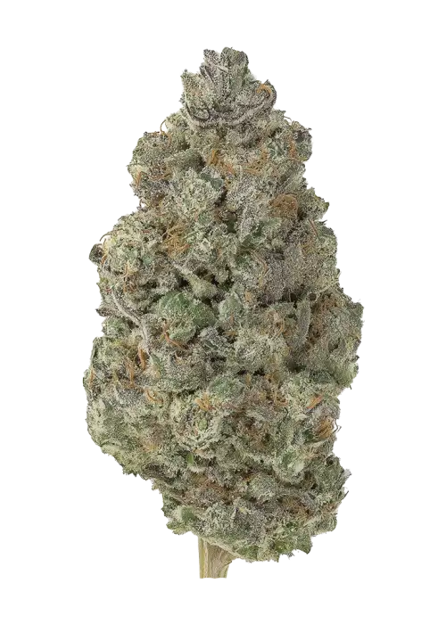 P.G.B.
