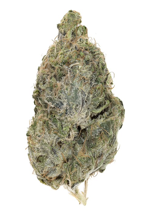 Strawberry Oreoz by Detroit Seed Company