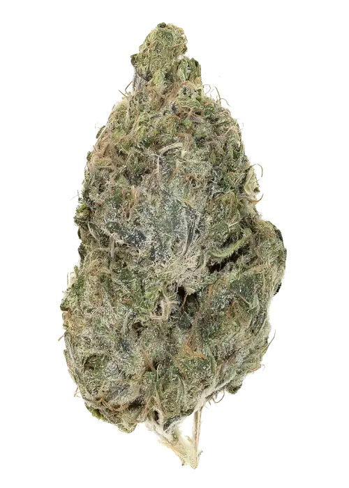 Strawberry Oreoz by Detroit Seed Company