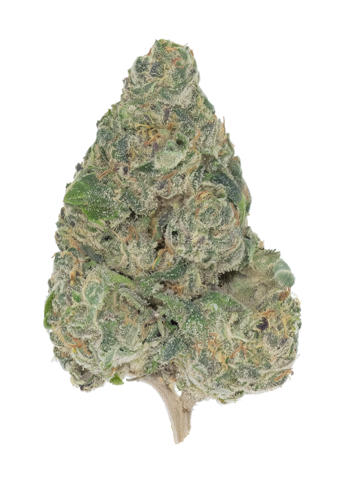 Butter Fat OG