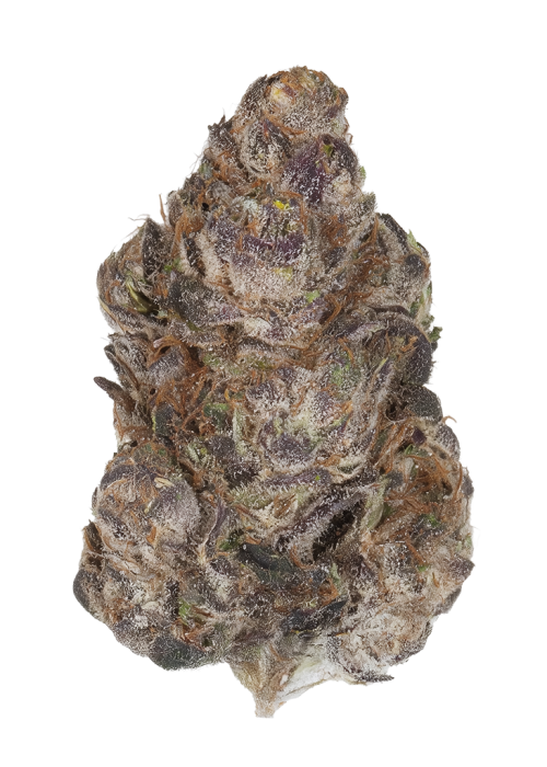 Pomengranade