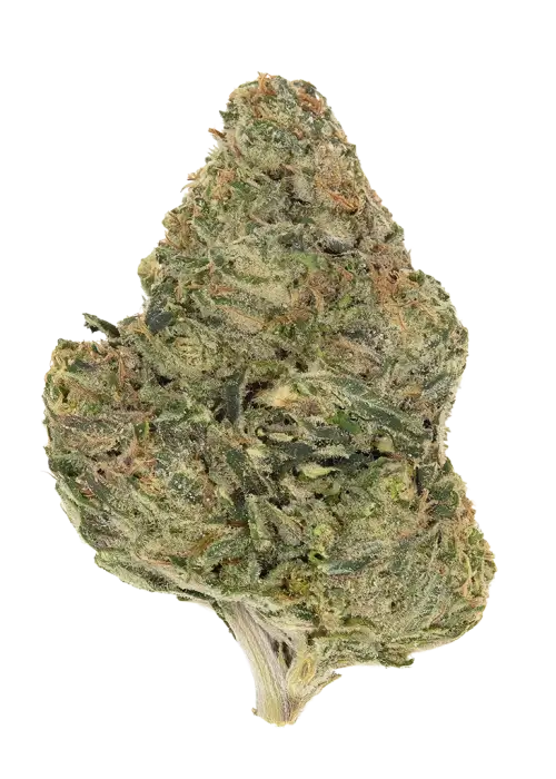Irene's Papaya