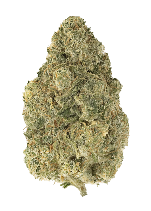 Illegal OG