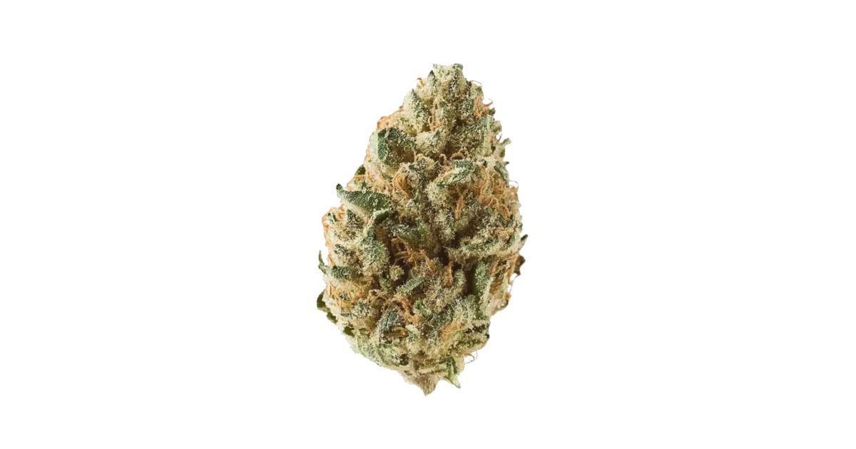 Tangie Cannabis Strain Information - GrowDiaries