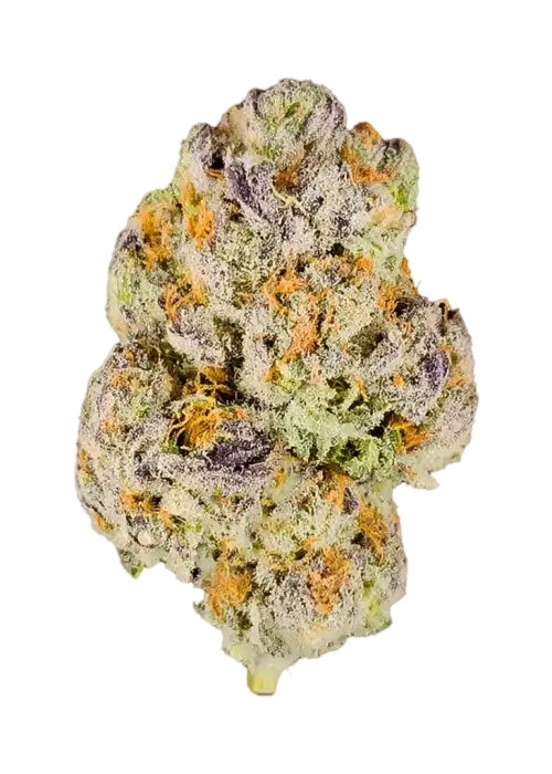 The Grape Gatsby