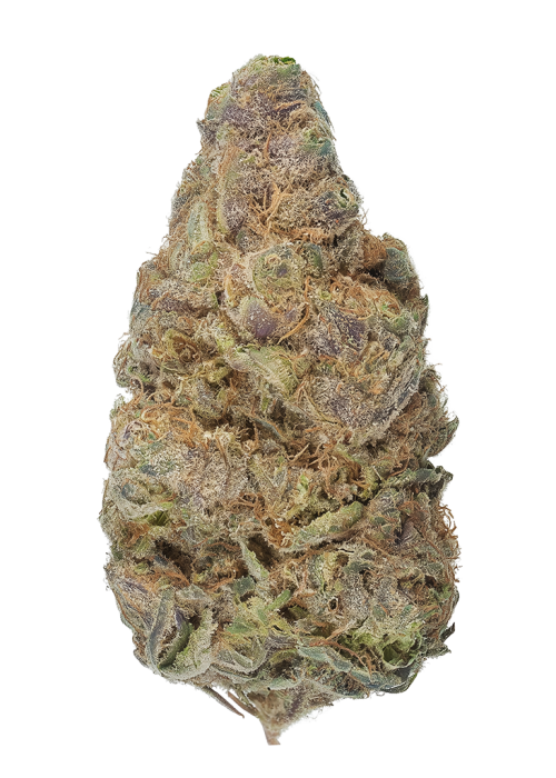 Dragon Spit