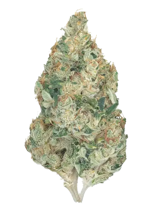 Big Fat n' Fruity R1