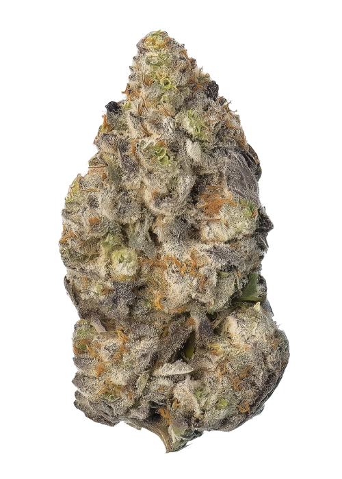 Dank Diggler