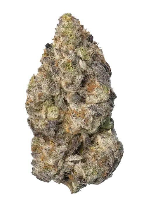 Dank Diggler