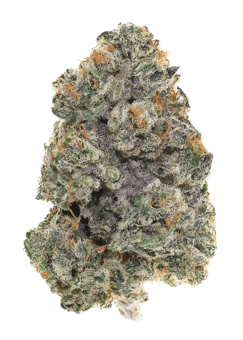 Pink Lemonade by Lit Farms