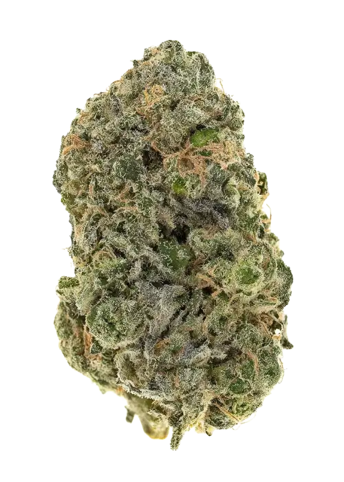 Blue Slushie F2