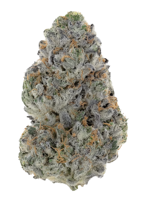 Pacific Moon