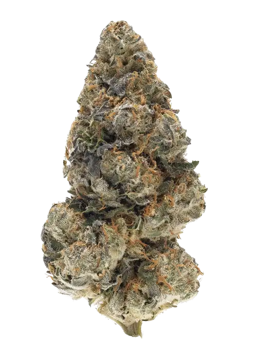 Big Z by Cookies