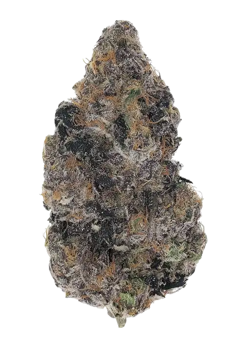 Fruit Loops by Round Table