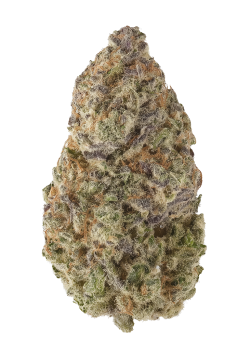 Shaved Ice by Lit Farms