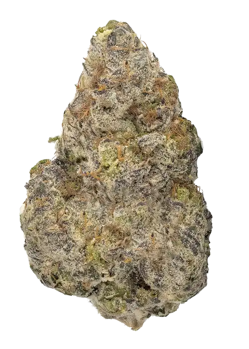 Pink Zoap