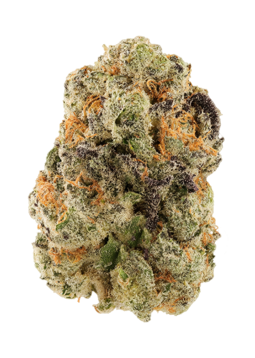 Desert Pineapple