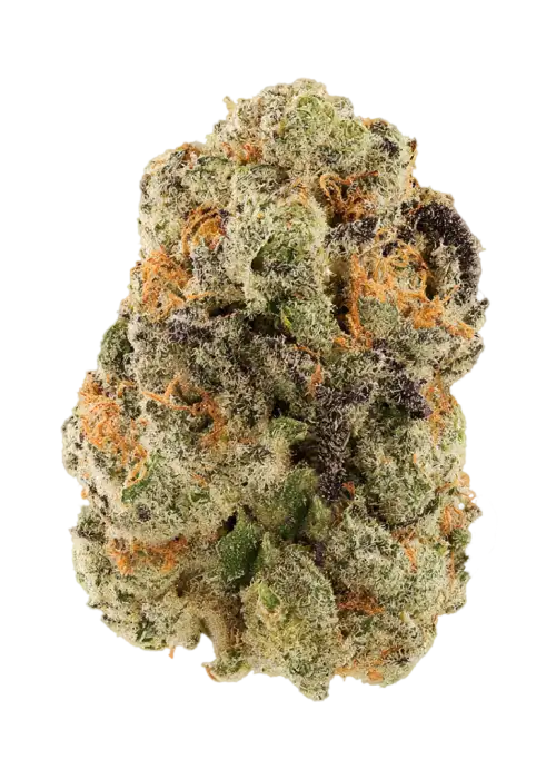 Desert Pineapple