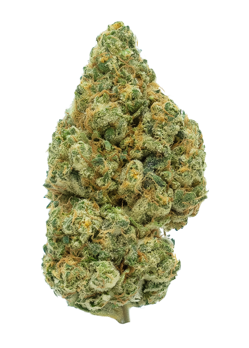 Black Salt