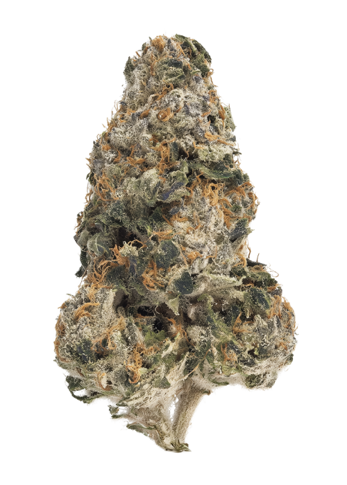 Black Sundae