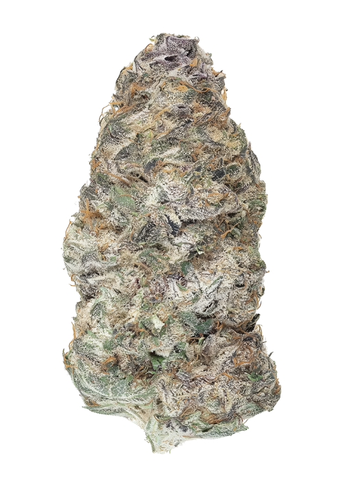 Iron Triangle by Xeno