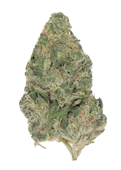 Diamond Frontz
