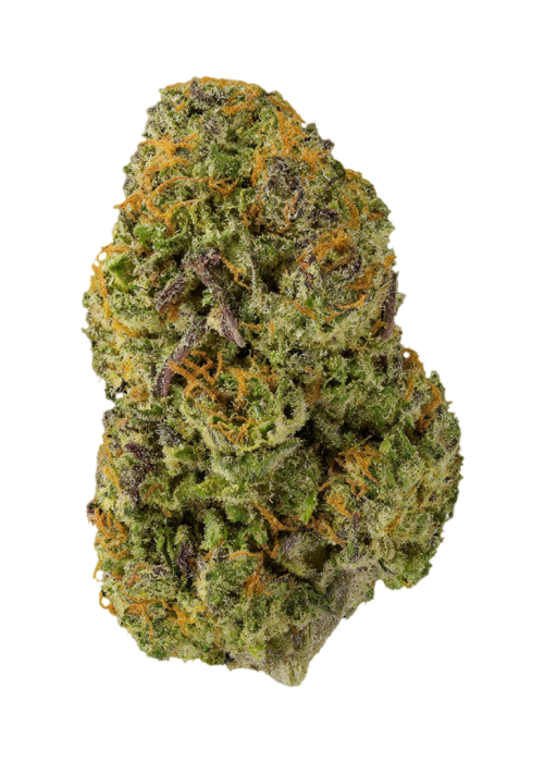 Fruity Durban