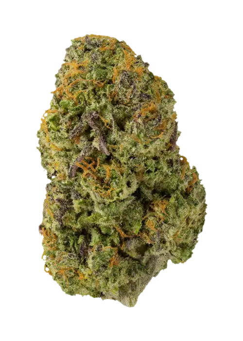 Fruity Durban