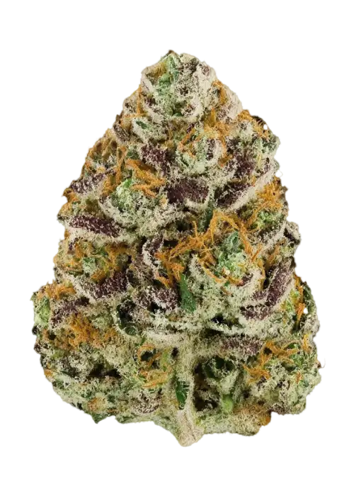 Stardawg Pie
